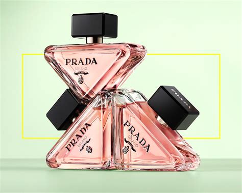 prada paradoxe muse.